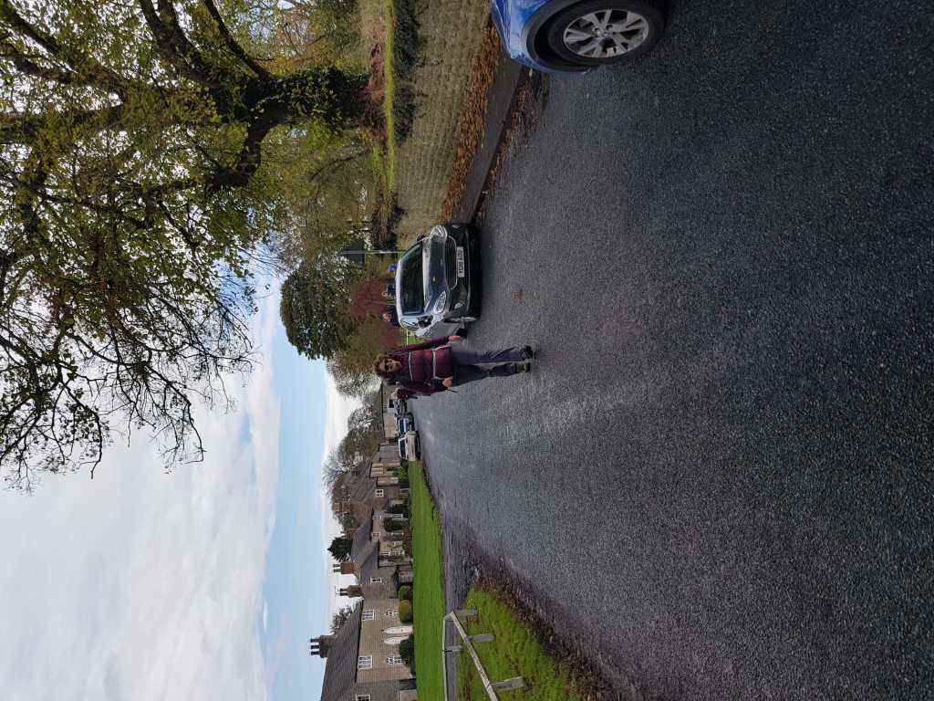 Low Hutton 2