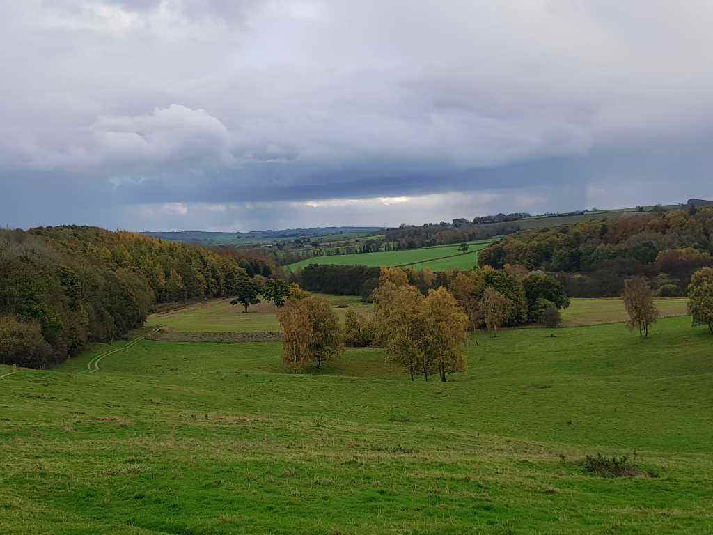Low Hutton 2